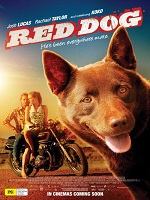 Kırmızı Köpek HD