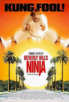 Beverly Hills Ninja izle